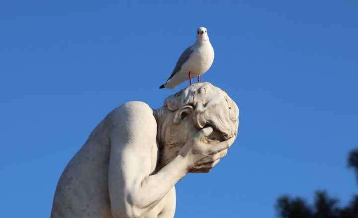 From Rotten Herring to Fermented Seal: The World’s Weirdest Traditional Dishes