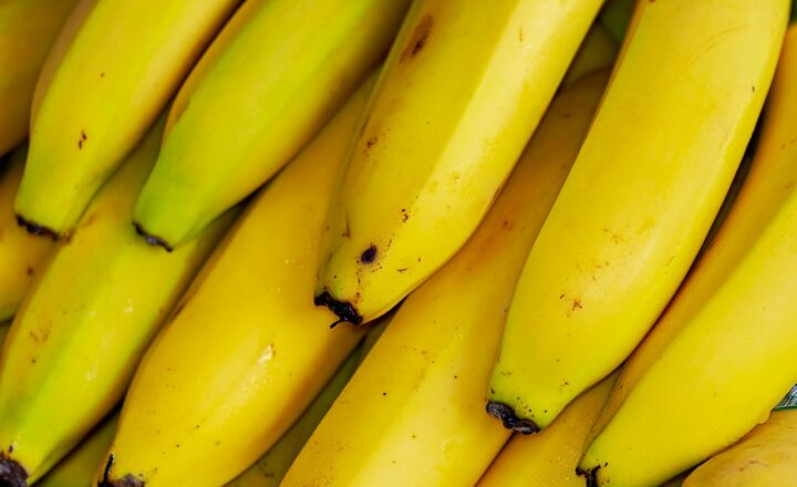 Strange Delicacies from Around the Globe That Will Shock Your Taste Buds