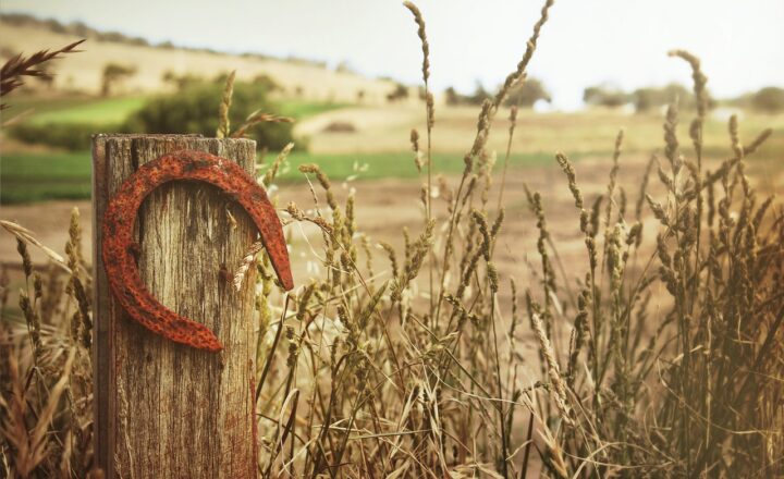 Unbelievable Coincidences That Led to Life-Changing Fortunes