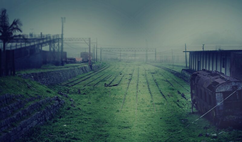 What Would the World Look Like After a Zombie Outbreak? What Would the World Look Like After a Zombie Outbreak?