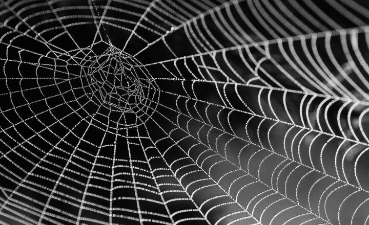 Improving Front-End Performance: How to Build Faster, Leaner Websites