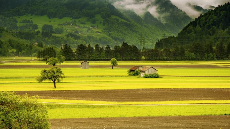 The Rise of Agritourism: Experiencing Life on a Farm in Different Cultures