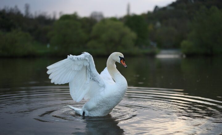 How to Capture the Perfect Travel Photos: Tips from Professional Adventurers