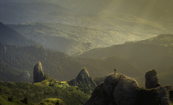 How the Spirit of Adventure Helps You Discover Hidden Talents and Passions