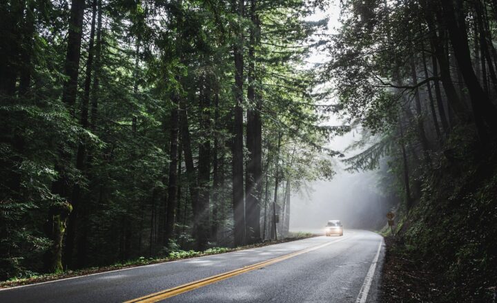 The Most Beautiful Road Trips in the World: Scenic Drives for the Adventurous Spirit