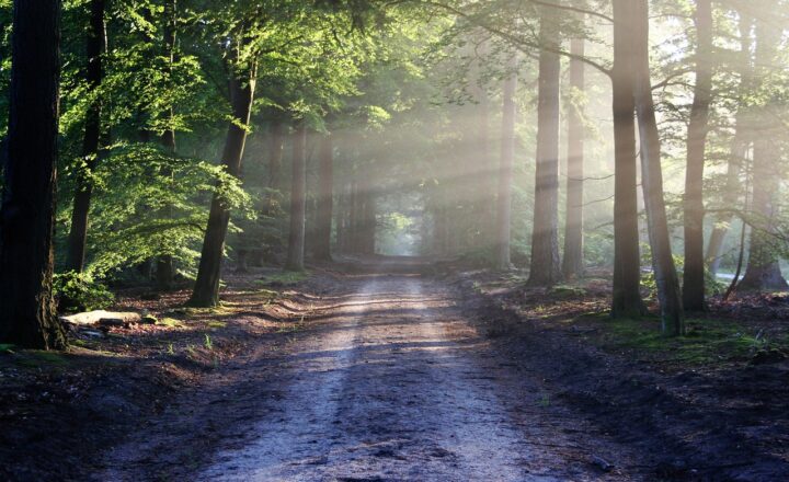 Exploring the World’s Most Famous Pilgrimage Trails: A Journey for Body and Soul