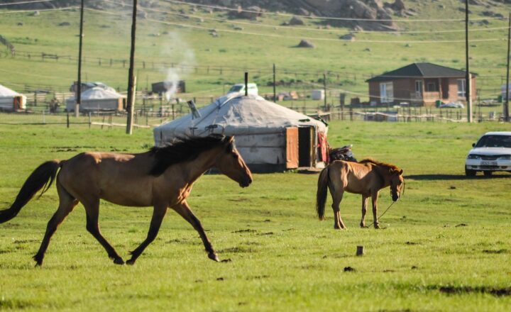 The Fascinating World of Nomadic Tribes: A Glimpse into Life on the Move
