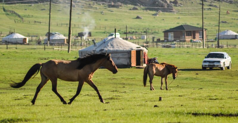 The Fascinating World of Nomadic Tribes: A Glimpse into Life on the Move The Fascinating World of Nomadic Tribes: A Glimpse into Life on the Move