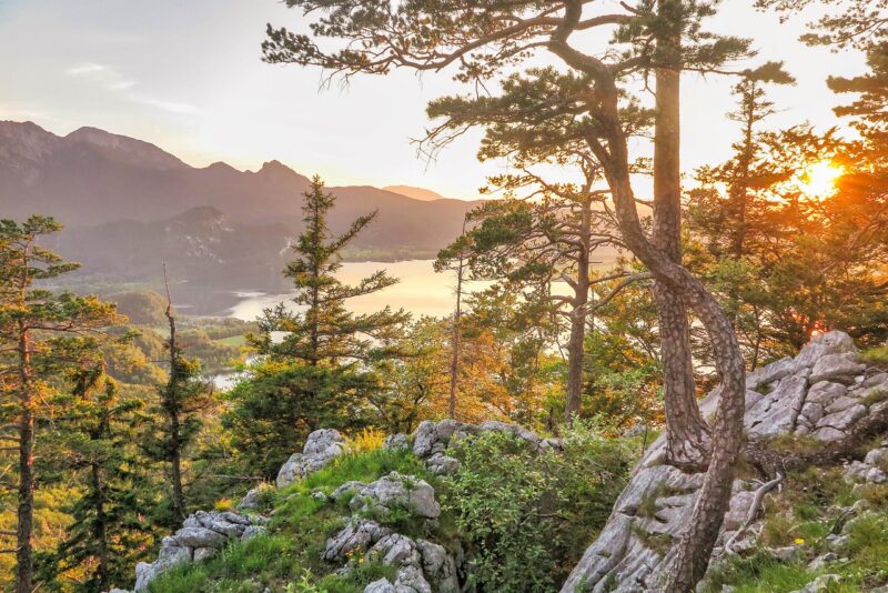 How Adventure Travel Boosts Confidence: Why Stepping Out of Your Comfort Zone Changes You How Adventure Travel Boosts Confidence: Why Stepping Out of Your Comfort Zone Changes You
