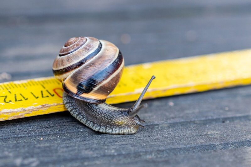 The Art of Slow Travel: How Taking Your Time Can Lead to Deeper Cultural Connections