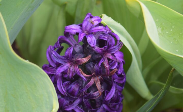 Exploring the World’s Most Beautiful Hidden Gems: Lesser-Known Destinations to Add to Your Bucket List