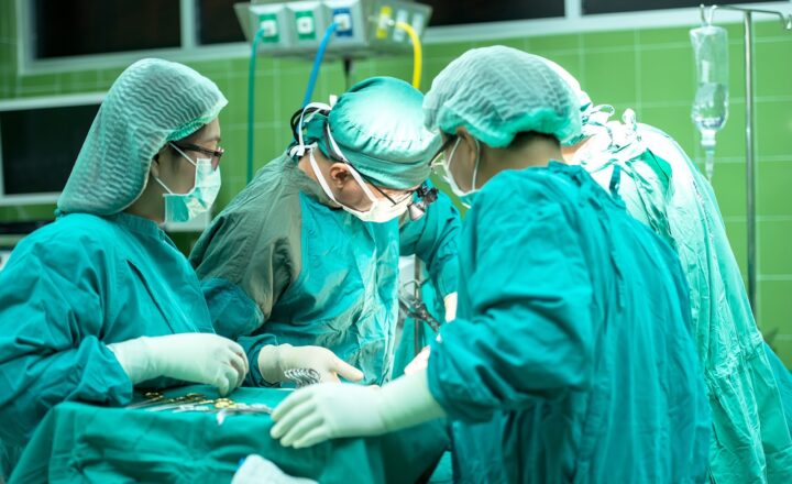 The Healing Power of Dogs: Why Therapy Dogs Are Becoming More Common in Healthcare