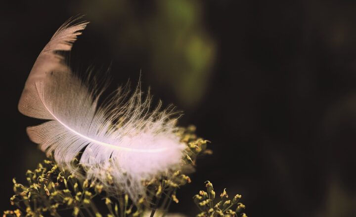 The Guide to Choosing Lightweight and Comfortable Headphones for All-Day Wear