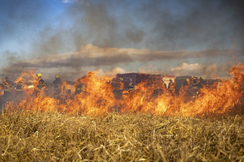 How Firefighters Combat Dangerous and Rapidly Spreading Wildfires How Firefighters Combat Dangerous and Rapidly Spreading Wildfires