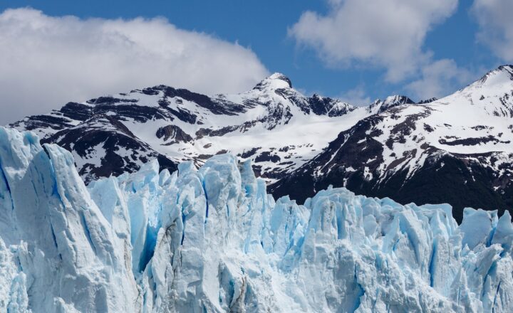The Impact of the Ice Age on Evolution: How Species Adapted or Went Extinct