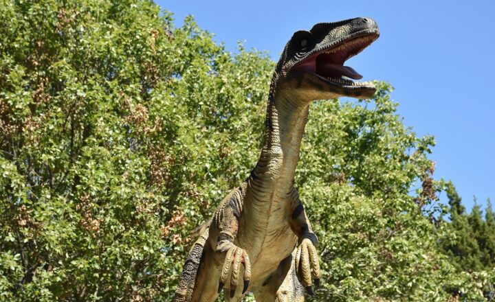 Exploring the Velociraptor: Fierce Hunter or Clever Scavenger?