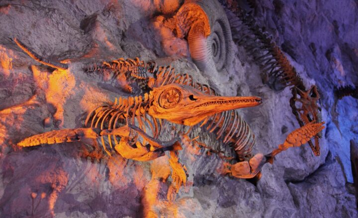 Exploring the Strange Creatures of the Devonian Period: The Age of Fishes