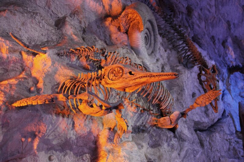 Exploring the Strange Creatures of the Devonian Period: The Age of Fishes