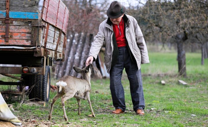 Surviving the Ice Age: How Ancient Humans Thrived in Harsh, Frozen Environments