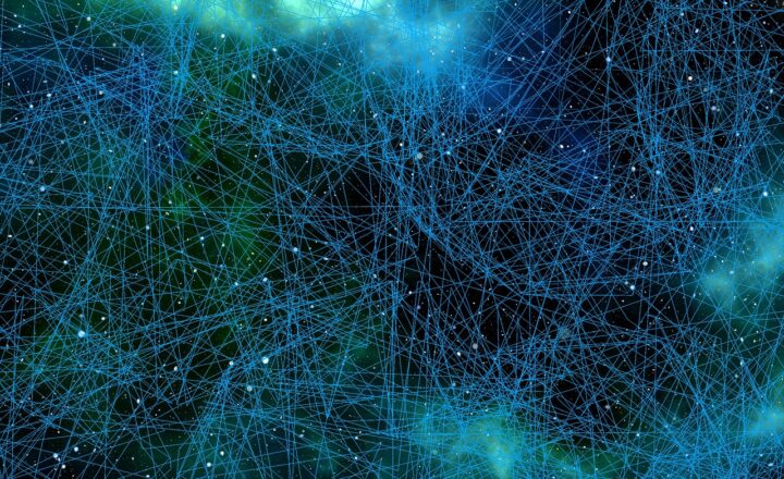 What Makes Homo sapiens Unique? Key Traits that Set Us Apart from Other Species