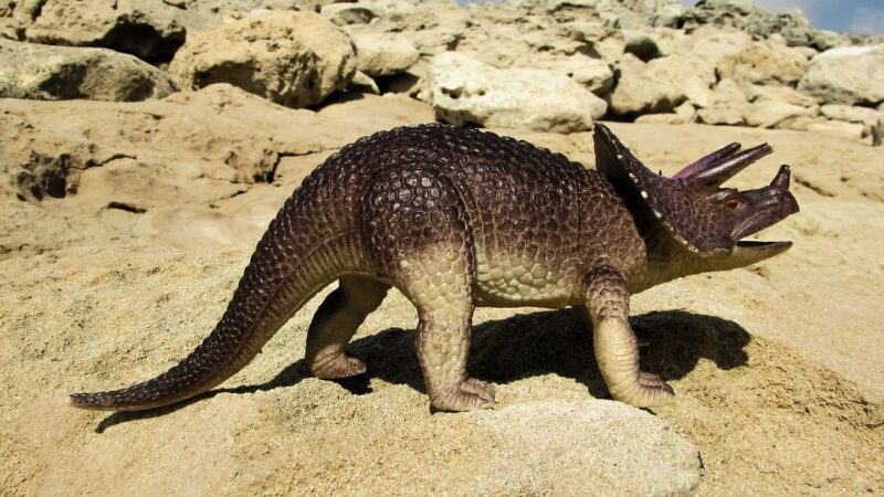 What Really Happened to the Dinosaurs? A Look at Theories on Their Extinction What Really Happened to the Dinosaurs? A Look at Theories on Their Extinction