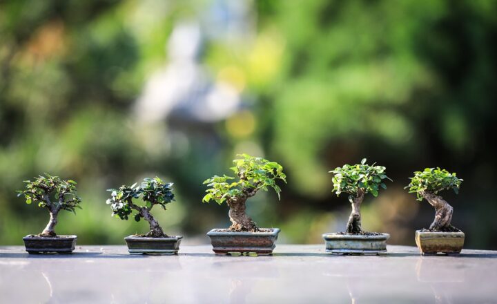 Sand Gardens and Zen: How Sand Is Used for Meditation and Mindfulness Practices