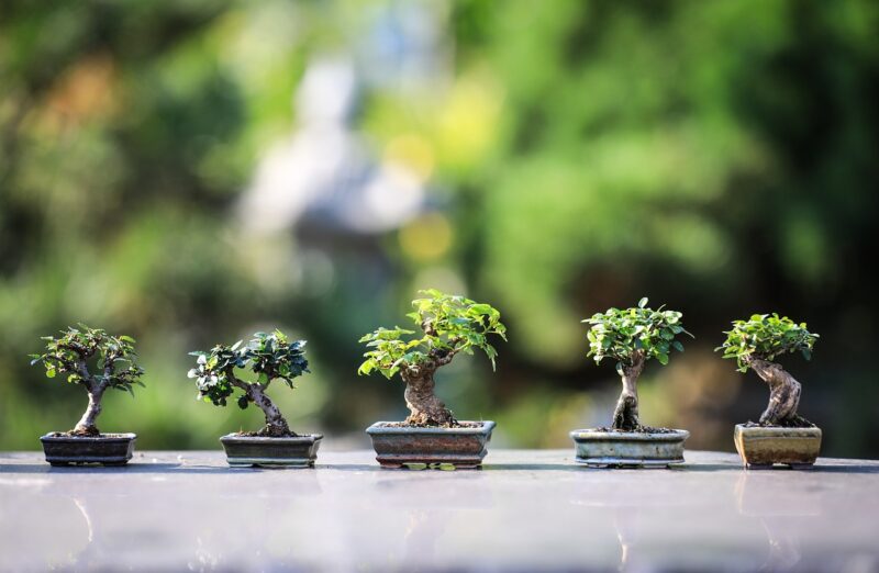 Sand Gardens and Zen: How Sand Is Used for Meditation and Mindfulness Practices Sand Gardens and Zen: How Sand Is Used for Meditation and Mindfulness Practices