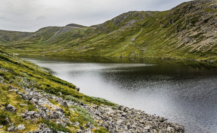 Exploring the Life Cycle of a River: From Snowmelt to the Sea