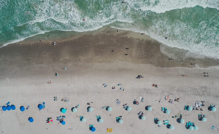 The Power of Ocean Currents: How They Transport Nutrients Across the Globe