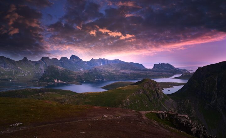 The Critical Role of Estuaries in Coastal Ecosystems and Wildlife Nurseries