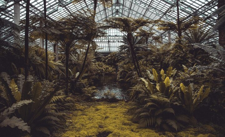 Exploring the Role of Ocean Trenches and Their Unique Ecosystems