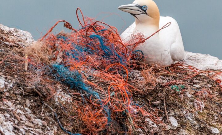 How Plastic Waste Travels Through Rivers to Reach the Ocean