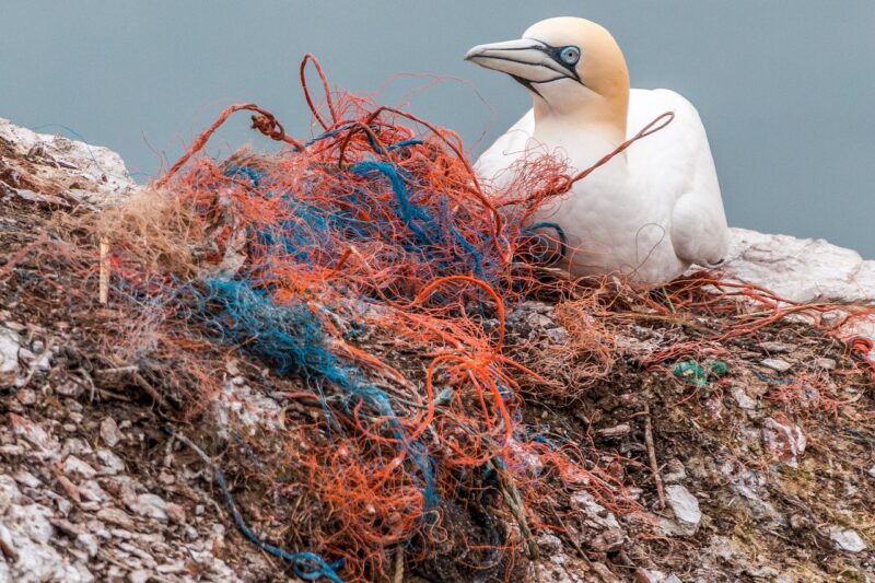 How Plastic Waste Travels Through Rivers to Reach the Ocean How Plastic Waste Travels Through Rivers to Reach the Ocean