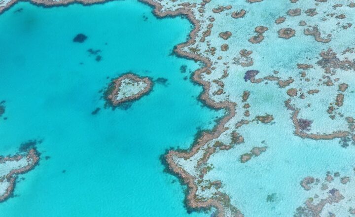 Exploring the Great Barrier Reef: The World’s Largest Coral Reef System