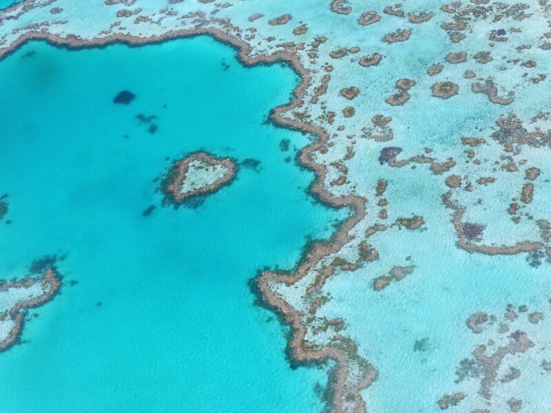 Exploring the Great Barrier Reef: The World’s Largest Coral Reef System
