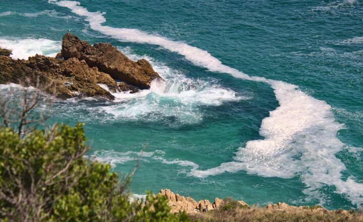 Understanding the Tides: How the Ocean Responds to Lunar and Solar Forces