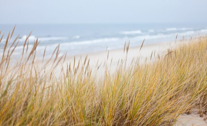 How Rivers and Oceans Shape Our Coastlines: The Forces of Erosion and Deposition