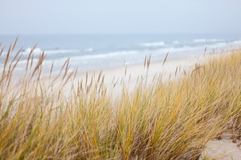 How Rivers and Oceans Shape Our Coastlines: The Forces of Erosion and Deposition