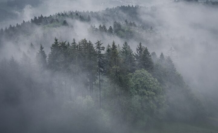 Quadcopters in Film: How Drones Are Allowing Filmmakers to Capture Unprecedented Shots