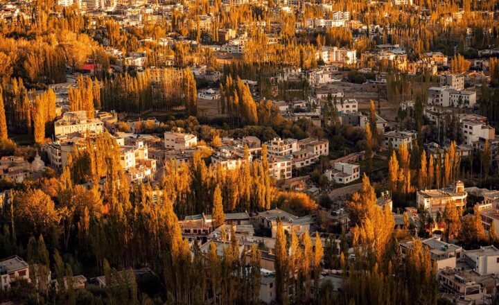 The Strategic Marketing Behind H&M: How It Dominated the Fashion Retail Market