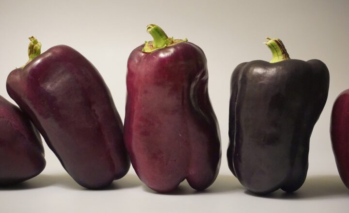 The Best Foods to Eat Before and After Workouts for Energy and Muscle Growth