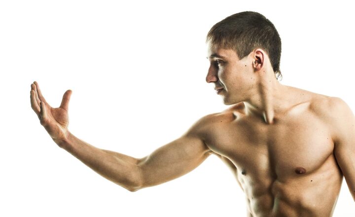 Understanding the Bulking and Cutting Phases of Muscle Building