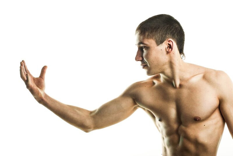 Understanding the Bulking and Cutting Phases of Muscle Building Understanding the Bulking and Cutting Phases of Muscle Building