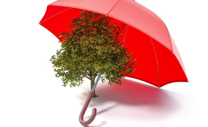 The Ultimate Guide to Creating a Sustainable, Eco-Friendly Home from Scratch