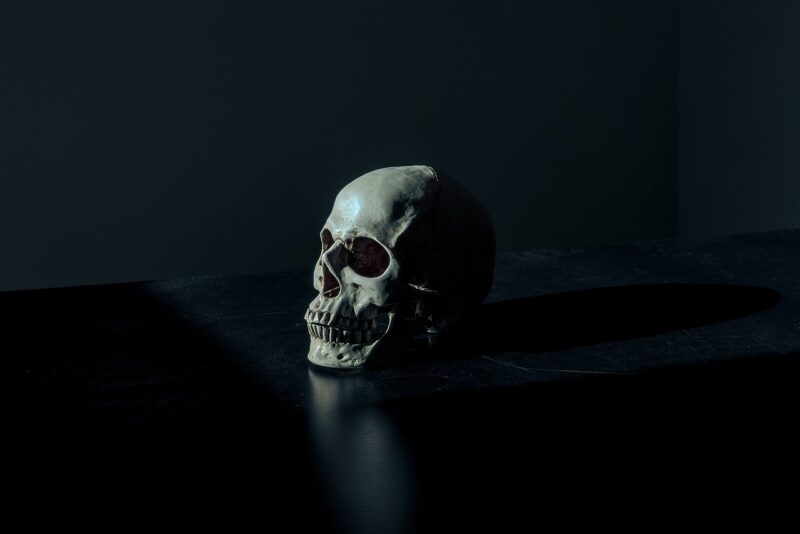 Why Some People Collect Replica Human Skeletons