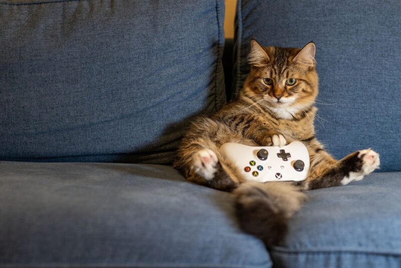 Exploring the Rise of Gaming Content on YouTube and Twitch Exploring the Rise of Gaming Content on YouTube and Twitch