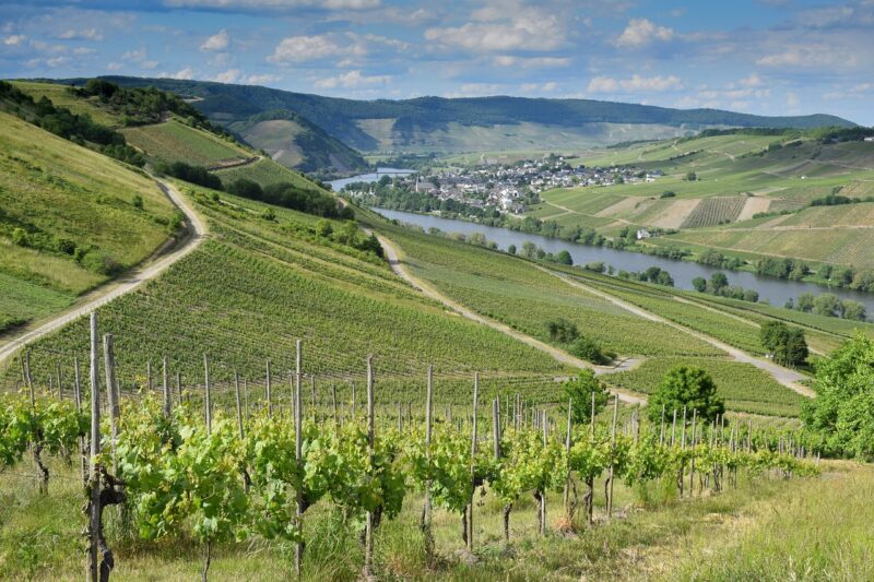 How to Discover the Best of Portugal’s Wine Country How to Discover the Best of Portugal’s Wine Country