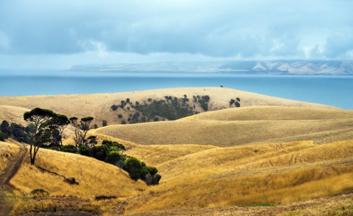 The Best Places to Visit in Australia Beyond Sydney and Melbourne