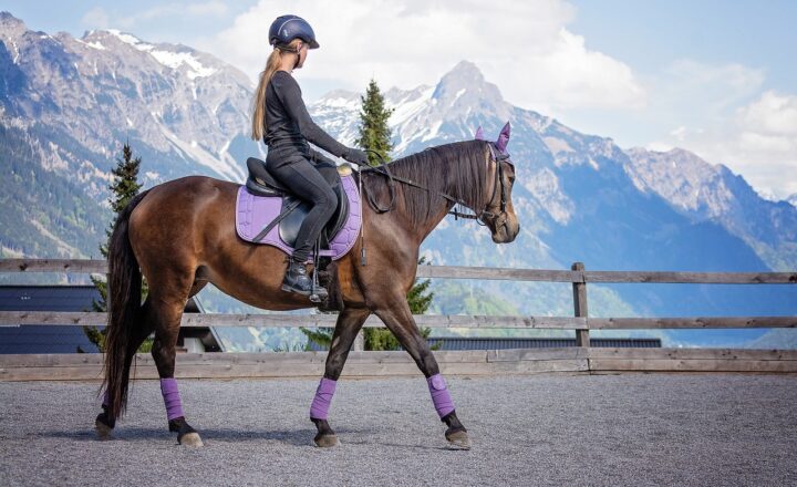 Exploring the World of Horseback Riding: Why More People Are Taking Up This Hobby