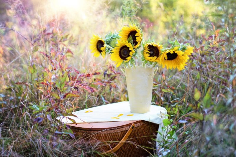 How to Get Started with Flower Arranging as a Beautiful and Creative Hobby How to Get Started with Flower Arranging as a Beautiful and Creative Hobby